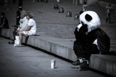 Warsaw Panda